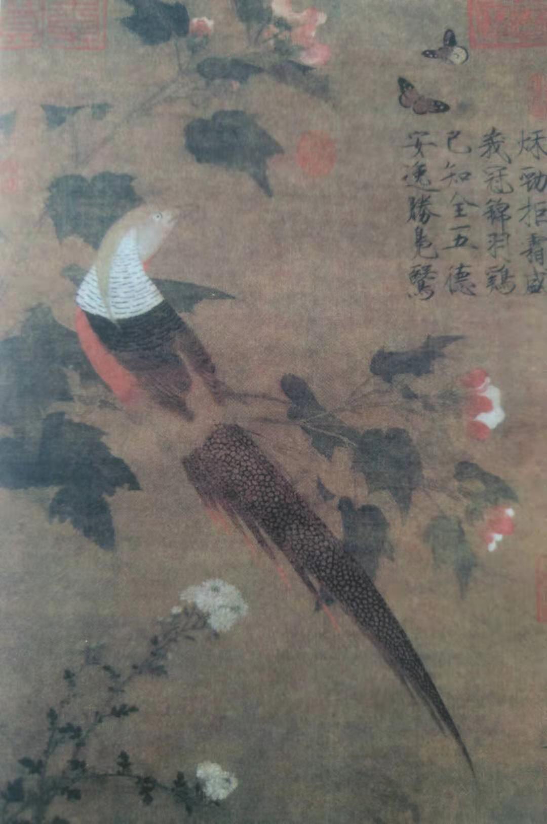 赵佶《芙蓉锦鸡图》